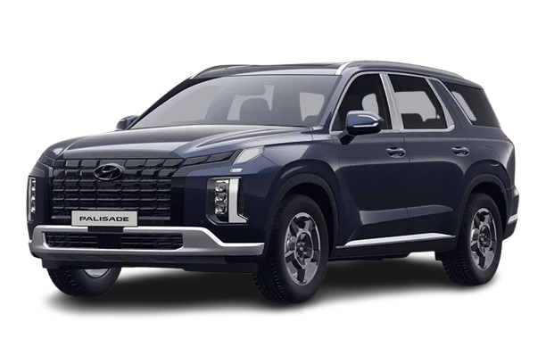 palisade-removebg-preview